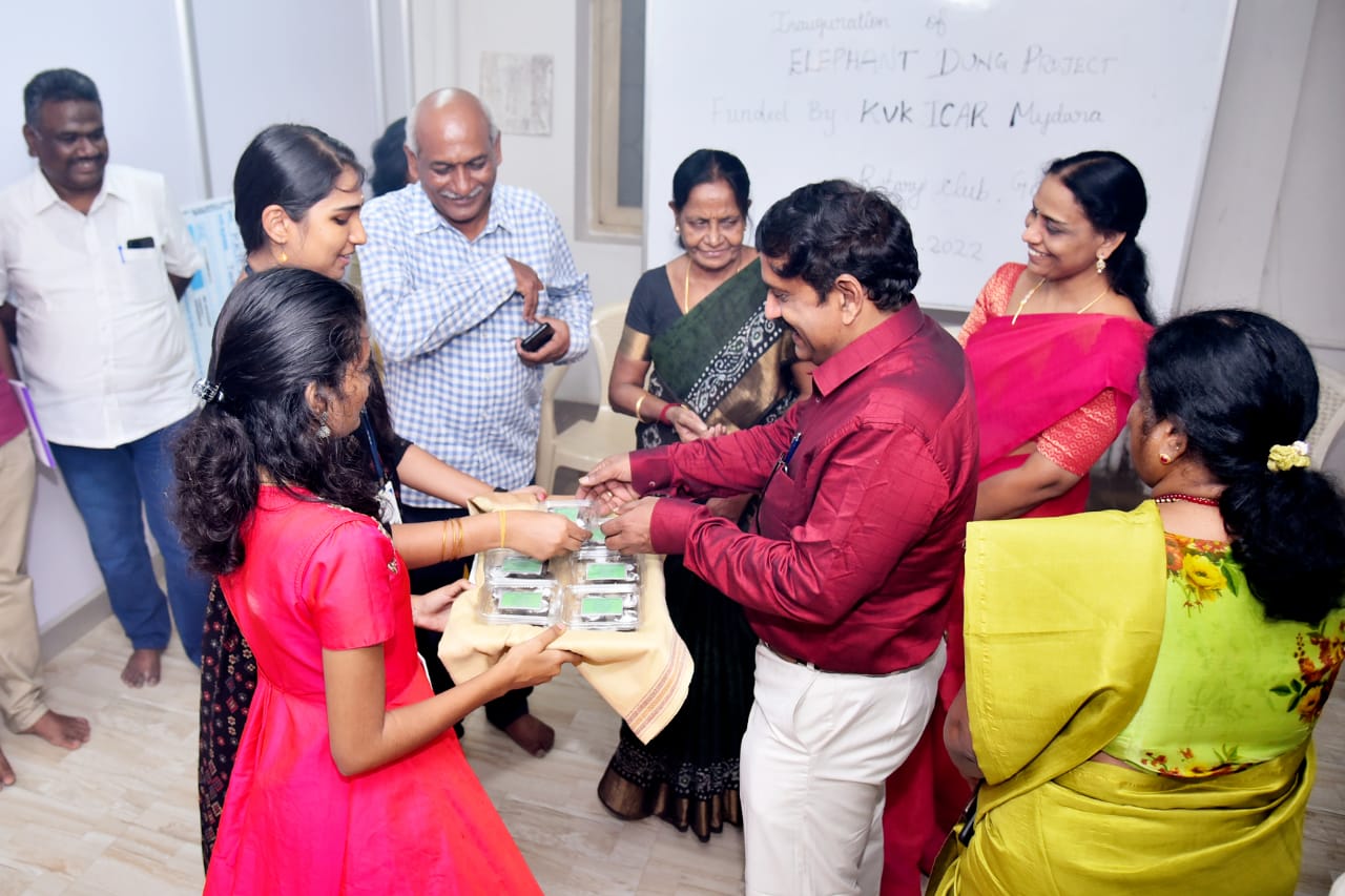 Elephant Dung Dhoop-4